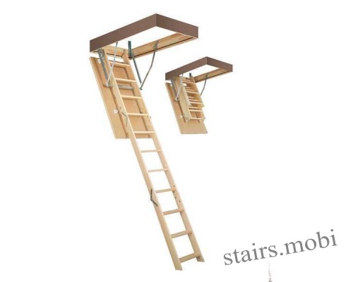 Fakro LWS Plus stairs.mobi